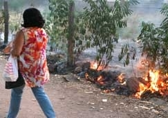 s margens do crrego do Barbado chamas consumiam o mato ontem