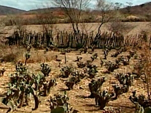 Entorno de Vitria da Conquista  uma das regies mais afetadas