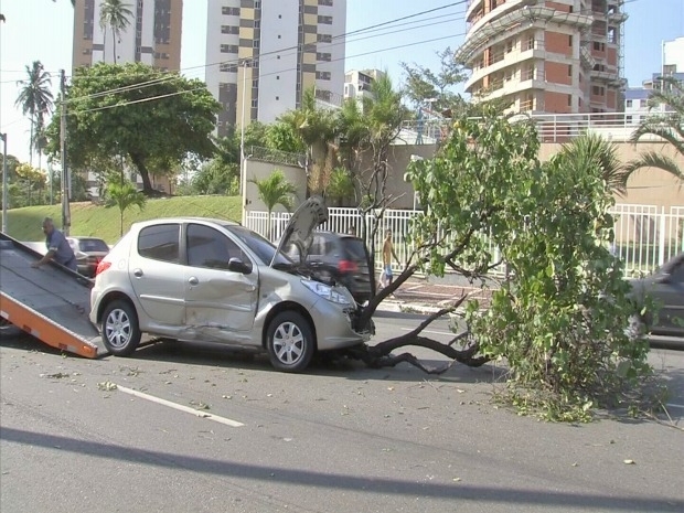 TV Verdes Mares/ Reproduo