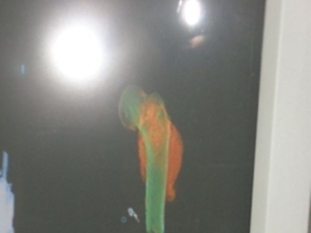 A polcia busca identificar a origem do osso, bem como de seus respectivos remetente e destinatrio