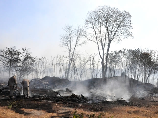 Incêndio destrói cerca de 16 hectares de uma vegetação em área do Exército.