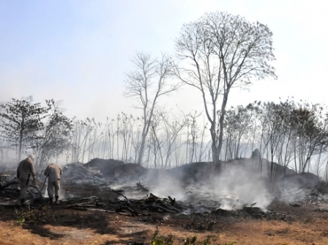 Incndio destri cerca de 16 hectares de uma vegetao em rea do Exrcito.