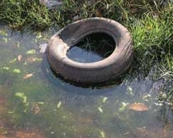 Futuro da rea ainda divide opinies: alguns moradores antigos preferem ficar ao ver casas demolidas