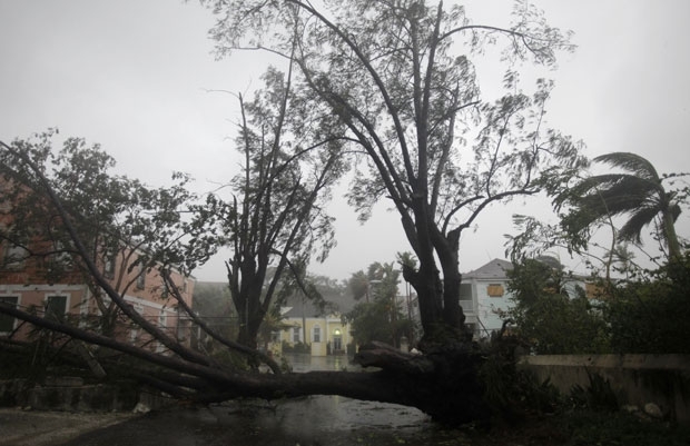 A chegada do furaco deixou rvores cadas nesta quinta (25) no leste de Nassau, nas Bahamas