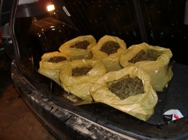 Maconha seria levada para o municpio de Amlia Rodrigues. 