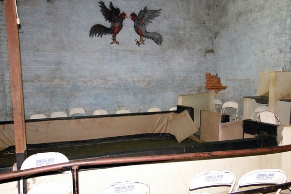 Arena encontrada no local servia para os espectadores da rinha.