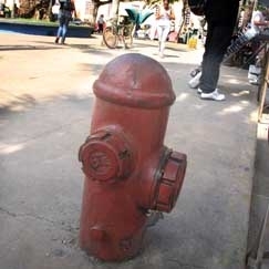 Mesmo com poucos funcionando, mecanismos ainda sofrem vandalismo