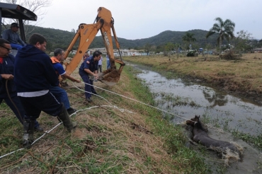 Resgate foi feito com ajuda de trator por bombeiros