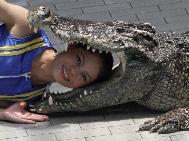 Kanthida Jantanct e seu marido Theerapone Manolai trabalham no zoo h dez anos