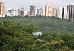 Alm de reduzir nmero de reas de preservao e conservao, nova lei aumenta limite de adensamento das zonas predomina