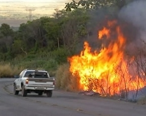 Fogo atinge acostamento de rodovia em MT