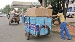 No primeiro semestre de 2012, 282 jovens foram encontrados em situa��o irregular de trabalho em Mato Grosso, segundo dad