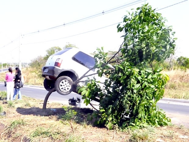 Carro atravessou canteiro da Avenida das Torres e subiu em rvore em Cuiab
