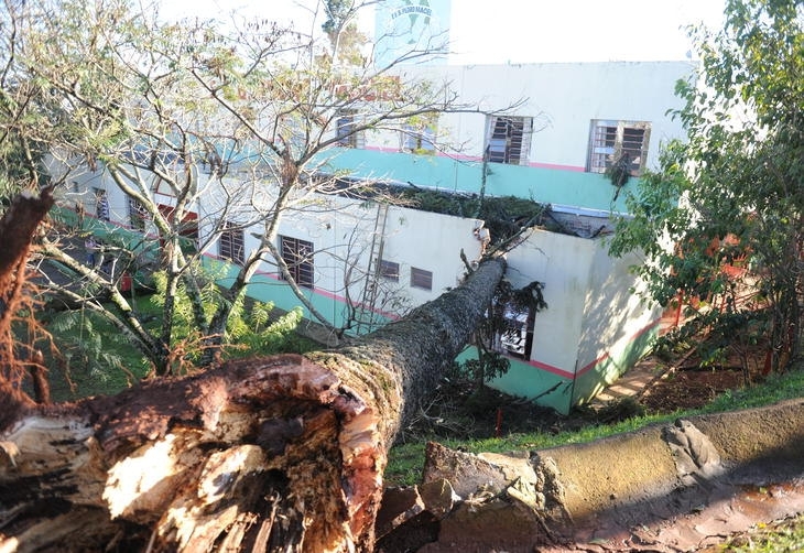 Pinheiro caiu sobre a Escola Bsica Pedro Maciel durante a madrugada por conta do temporal