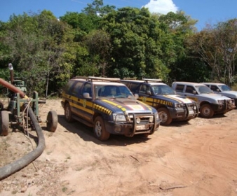 Operao conjunta entre PRF e Ibama combate crimes ambientais