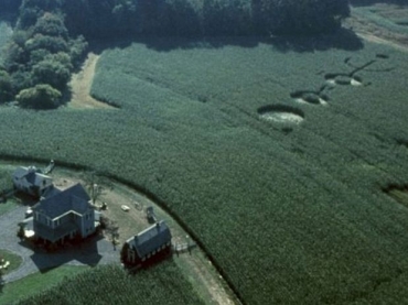 Crculos nas plantaes esto com os desenhos mais complexos, aponta cientista