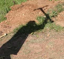 Maior parte dos empregadores  ou tem reas na regio norte mato-grossense