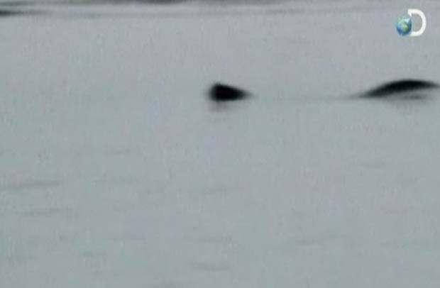 Criatura estranha filmada no Alasca criou debate sobre sua real existncia.