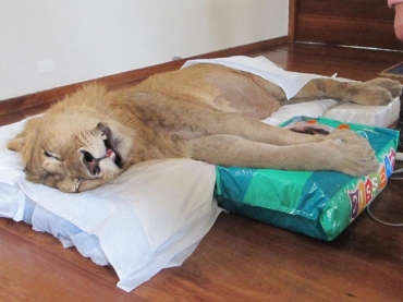 Leo Ariel mobiliza uma corrente de solidariedade na internet