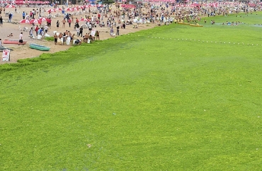Esta � a terceira vez que o mar fica coberto; cena n�o impediu que os chineses aproveitassem dia de sol