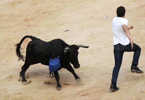Mochila ficou presa no chifre do animal.