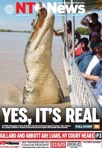 Crocodilo ficou quase da altura do barco.
