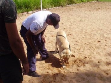 Adestrador treina co para faro de drogas. 