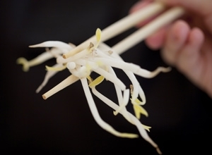 Autoridades alems disseram que a fonte do surto da bactria Escherichia coli pode estar em brotos de feijo