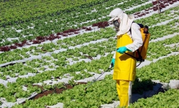 Ideia da Campanha � conscientizar popula��o e diminuir uso de produtos 
