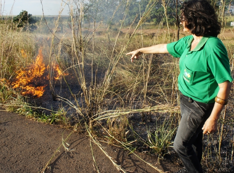 Ambientalista ressaltou que provocar queimada  crime em qualquer poca do ano