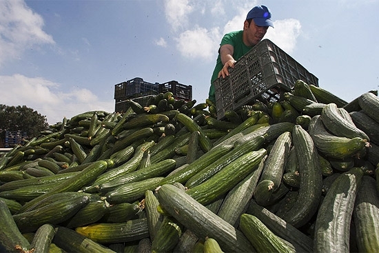 Agricultor descarta colheita inteira de pepinos na Espanha; crise j� deixou 17 mortos na Alemanha e na Su�cia