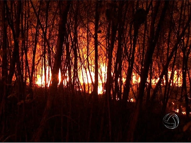 Bombeiros fizeram combate em rea atingida por incndio na capital