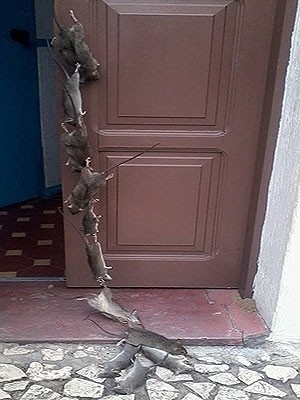 Homem protesta e pendura