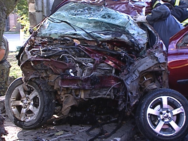 destrudo em batida contra rvore