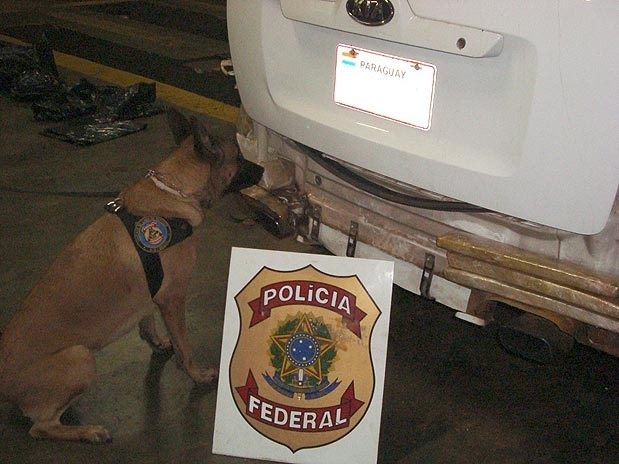 Animal localizou droga no para-choque traseiro e no teto de Kia Sportage