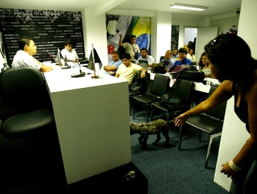 Cachorro rouba a cena durante coletiva em S�o Janu�rio
