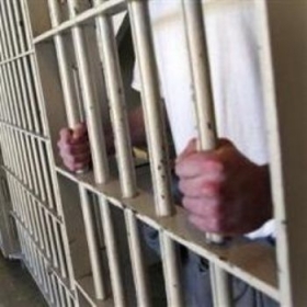  O caso ser investigado e criana foi encaminhada para abrigo 