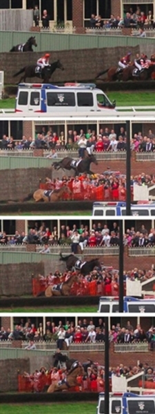 Imagens mostram o cavalo invadindo a arquibancada