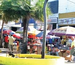 Prefeitura desconhece hoje o real nmero de camels no Centro e diz que vai retomar aes de retirada