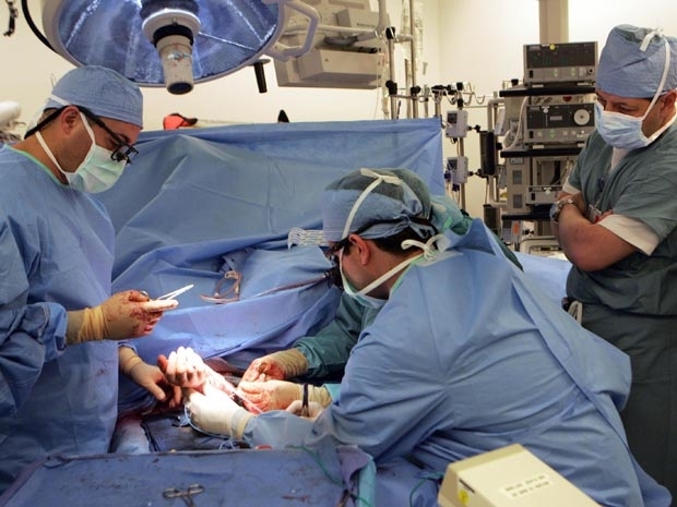 Uma mulher de 26 anos recebe um transplante de mo