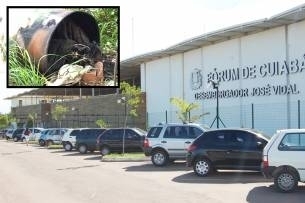 Droga foi causa de execuo; cadver de estudante foi queimado e jogado num matagal,