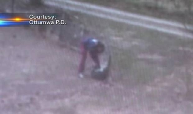 Ativista dos direitos dos animais foi flagrada batendo em co