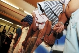 Polcia Civil desarticula quadrilha de assaltantes de bancos em Mato Grosso