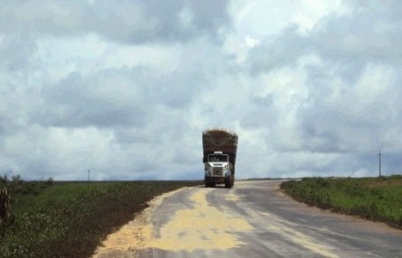 A PIOR rodovia de Mato Grosso