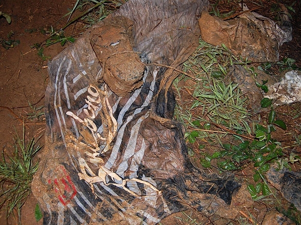 Corpos foram encontrados em terreno baldio, na zona rural de Mogi das Cruzes
