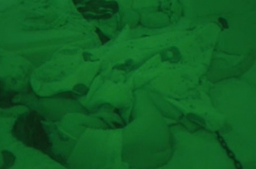 Que calor hein, Maria!